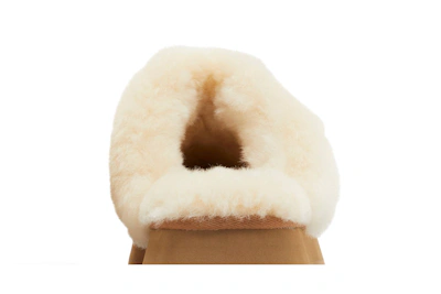 (Women) UGG Disquette Slipper Chestnut