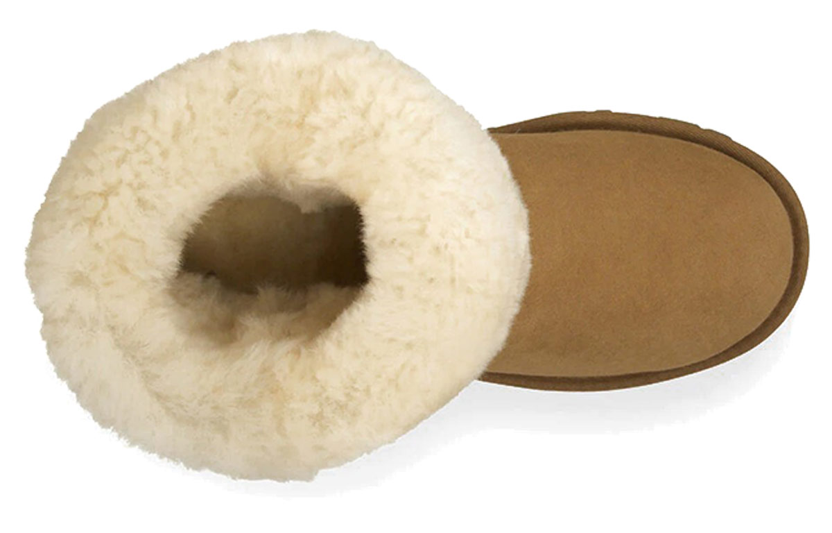 Purchase (W) UGG Essential ''Chestnut'' Laarzen 5835-CHE