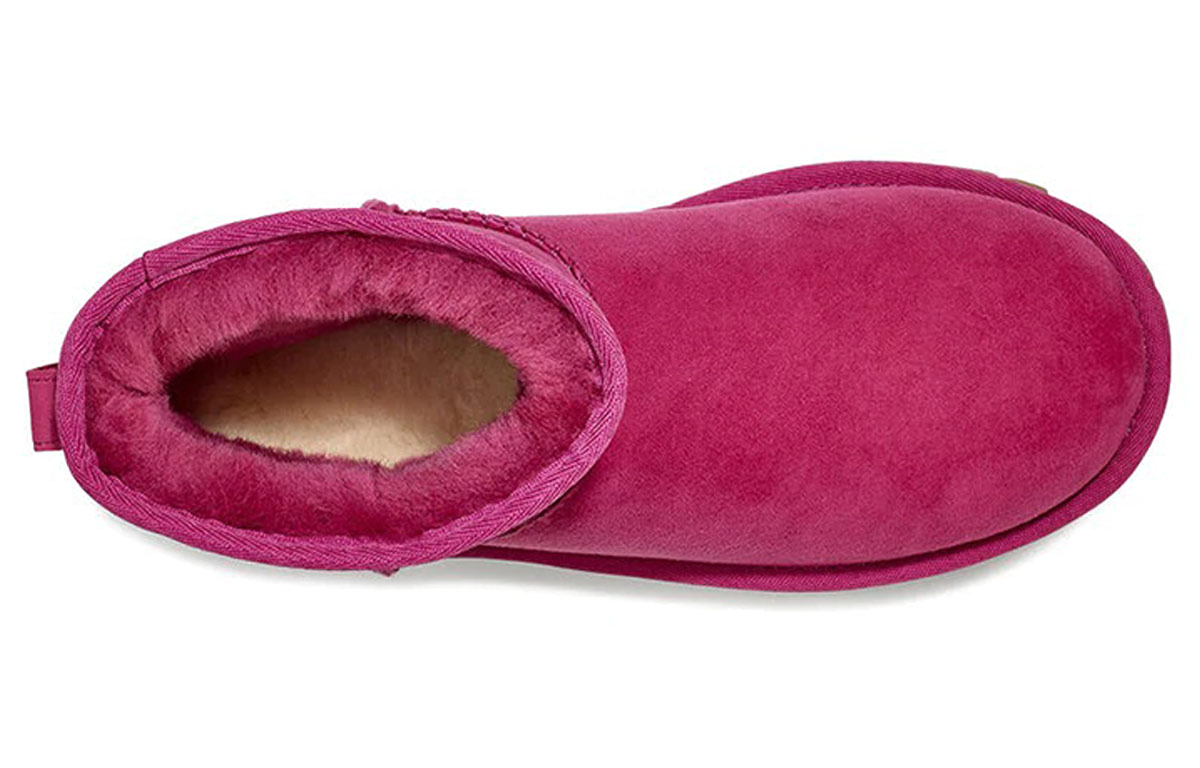 Purchase (W) UGG Essential Mini Classic ''Blamberry'' Damen Stiefel 1016063-BRM