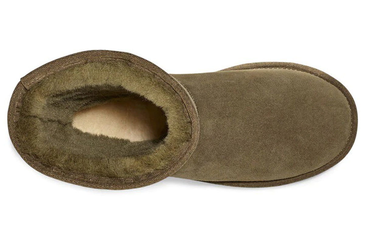 Purchase (W) UGG Essentieel Kort Bruin Groen 5835-SPRC