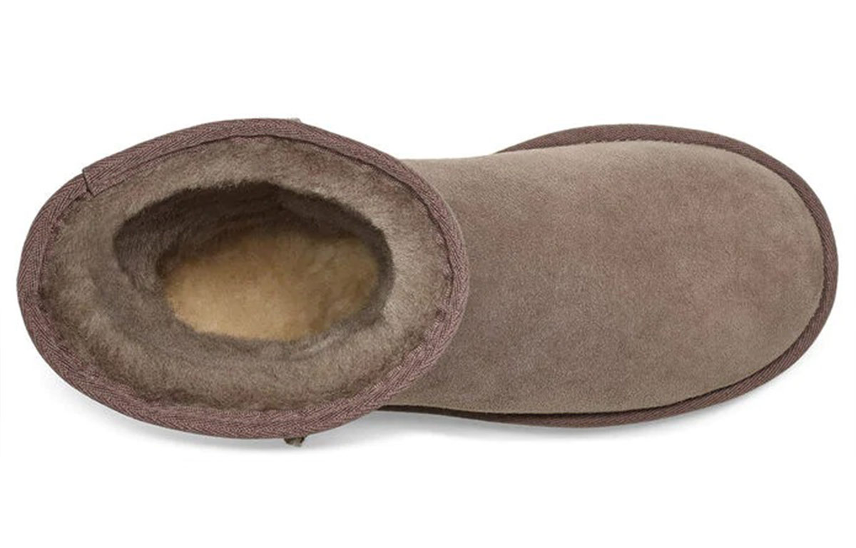 Purchase (W) UGG エッセンシャル スノーブーツ (チェスナットグレー) 5835-BNDL