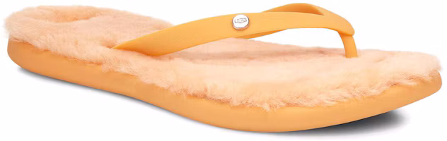 Lookbook (W) UGG Fluffie II ''Weizen'' 1099835-SSD
