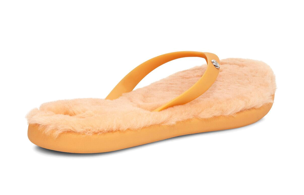 Purchase (W) UGG Fluffie II ''Weizen'' 1099835-SSD
