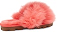 Purchase (W) 어그 퍼잘리셔스 슬리퍼 (코랄 레드) 1108917-PCRL