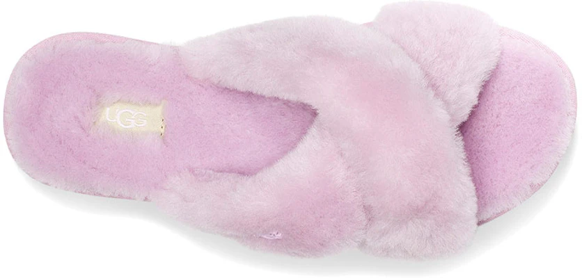 (W) UGGファゼット ミニマル紫 (UGG Fuzzette Minimal Murasaki) 1107955-CATR Shop (W) UGGファゼット ミニマル紫 (UGG Fuzzette Minimal Murasaki) 1107955-CATR