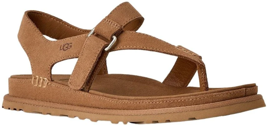 (W) UGG 金色視線夾腳涼鞋 栗棕 1175134-CHE Order (W) UGG 金色視線夾腳涼鞋 栗棕 1175134-CHE