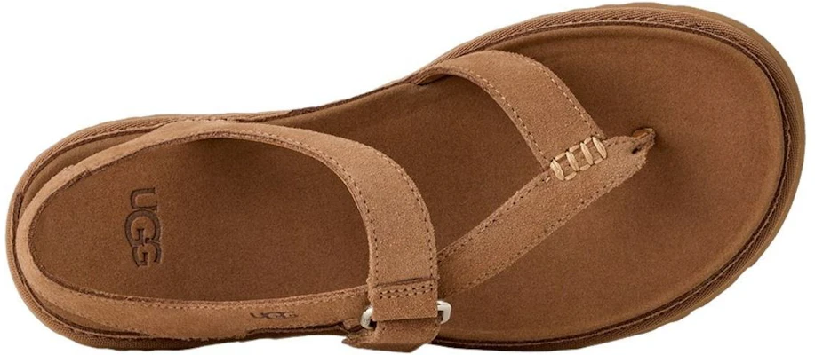 (W) UGG 金色視線夾腳涼鞋 栗棕 1175134-CHE Shop (W) UGG 金色視線夾腳涼鞋 栗棕 1175134-CHE