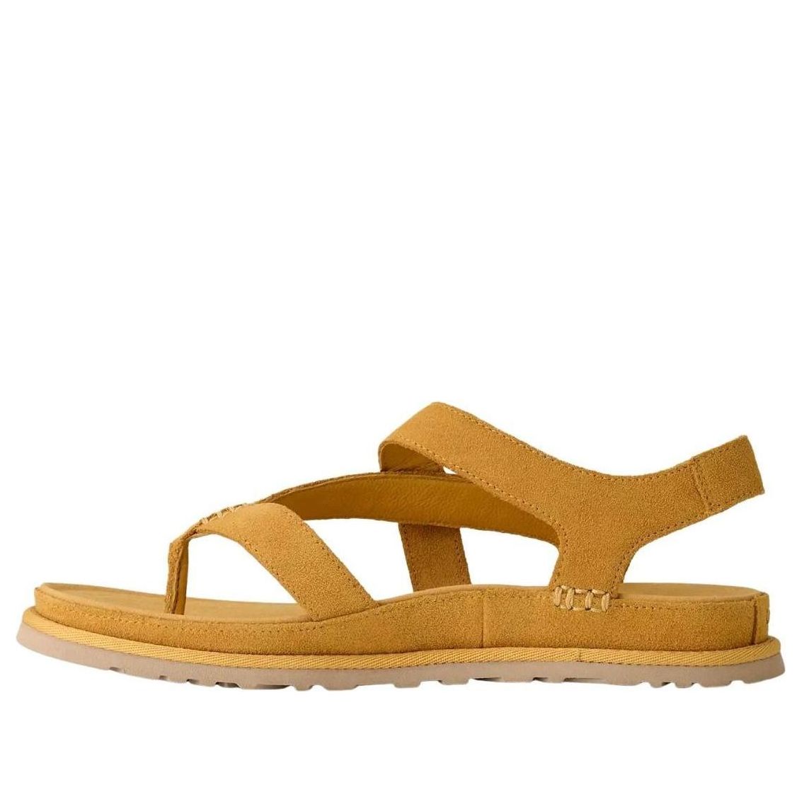 (Women) UGG Goldengaze Toe Post 'Wheat Field' 1175134-WTFL