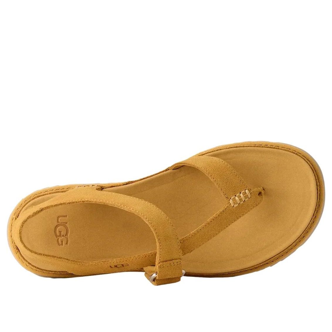 Shop (W) UGG ゴールデンゲイズ トゥポストサンダル ウィートフィールド 1175134-WTFL
