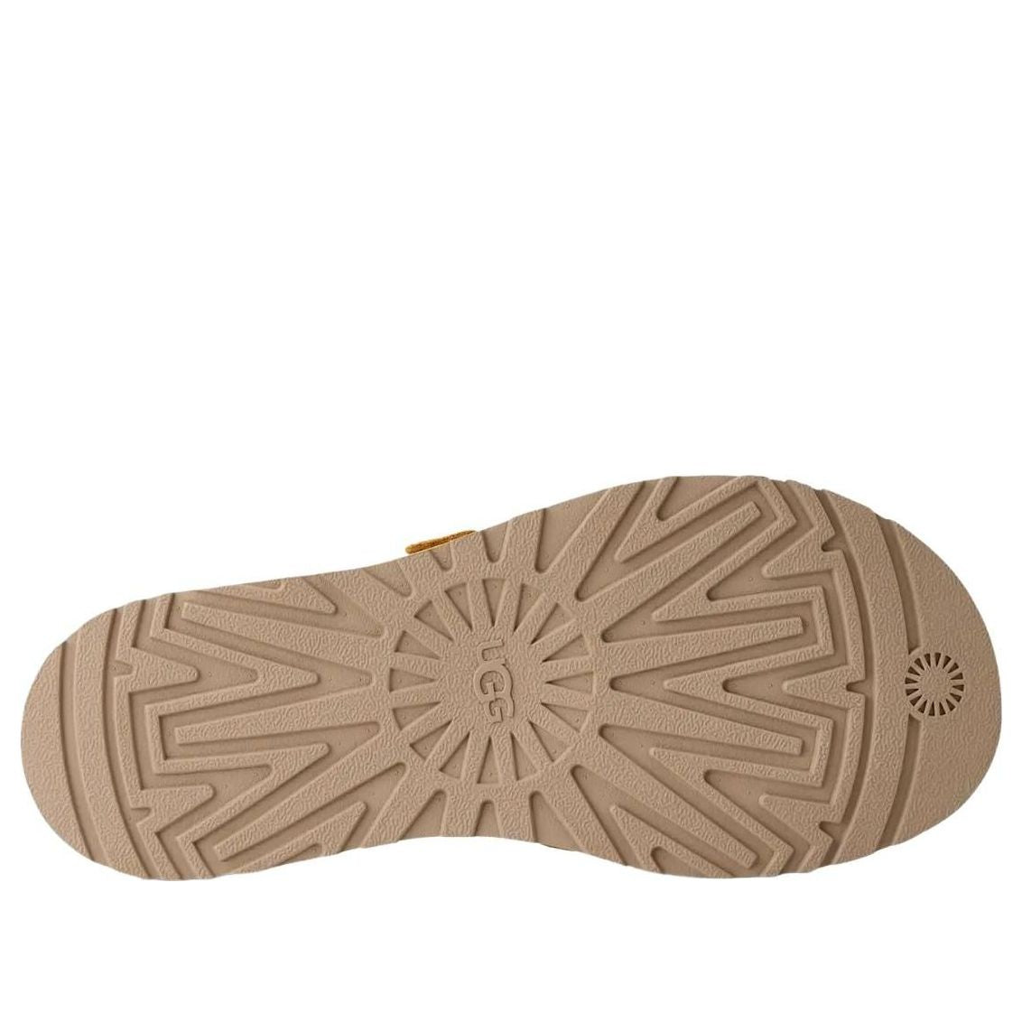Purchase (W) UGG ゴールデンゲイズ トゥポストサンダル ウィートフィールド 1175134-WTFL