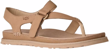 Order (Women) UGG Goldengaze Toe Post Sandal Mustard Seed 1184931-MDSD