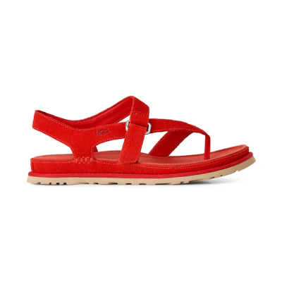 (W) UGG Goldengaze Toe Post Sandal Red Pepper