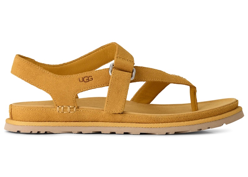 (Women) UGG Goldengaze Toe Post Sandal Wheat Field 1175134-WTFL