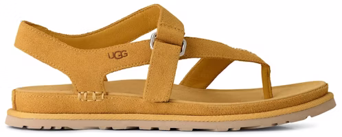(Women) UGG Goldengaze Toe Post Sandal Wheat Field 1175134-WTFL (Women) UGG Goldengaze Toe Post Sandal Wheat Field 1175134-WTFL