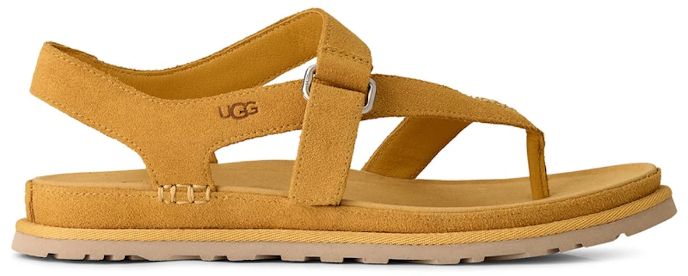 (W) UGG Goldengaze Toe Post Sandal Wheat Field Sandal Jepit Emas 1175134-WTFL Buy (W) UGG Goldengaze Toe Post Sandal Wheat Field Sandal Jepit Emas 1175134-WTFL