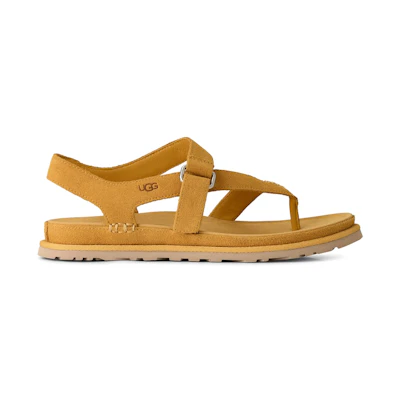 (W) UGG Goldengaze Toe Post Sandal Wheat Field