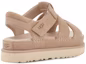Purchase (W) Sandal Platform UGG Goldenstar Strap 'Driftwood' 1137890-DRI