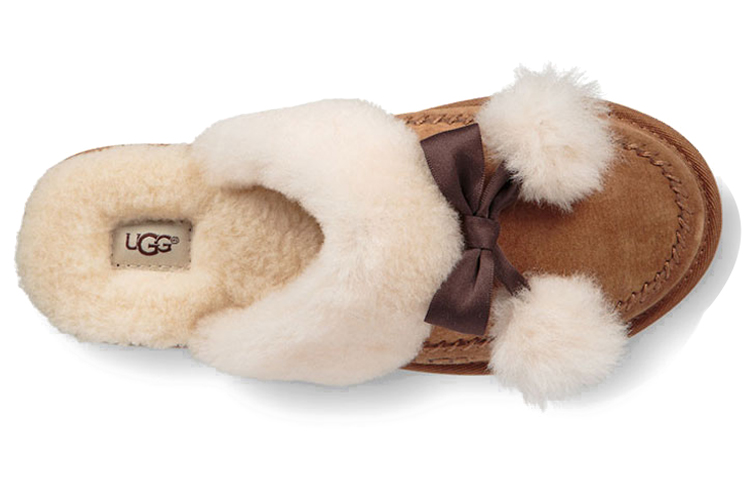 Shop (W) UGGハフニア（チェスナットブラウン） 1017544-CHE