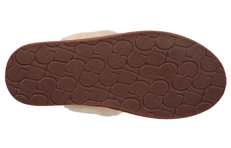 Details for (W) UGGハフニア（チェスナットブラウン） 1017544-CHE