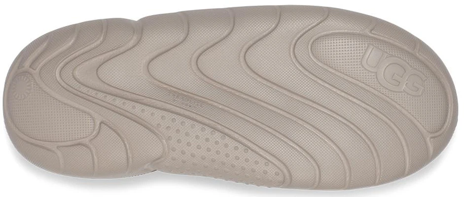 (W) UGG LA Cloud Lace Sneakers 1123715-GOA Purchase (W) UGG LA Cloud Lace Sneakers 1123715-GOA