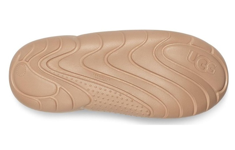 Shop (W) UGG LAクラウド トレーナー ドリフトウッド 1136818-DRI