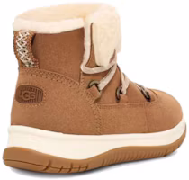 Shop UGG 羊皮 圓頭綁帶 短靴 女款 栗色