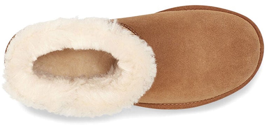 (W) UGG ミニベイリーボタン ブリングブーツ 1119000-CHE Purchase (W) UGG ミニベイリーボタン ブリングブーツ 1119000-CHE