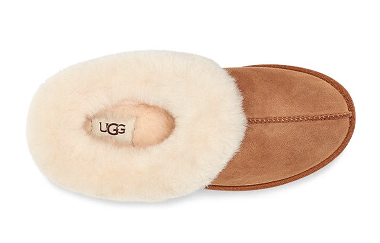 Purchase (Women) UGG Moraene 'Chestnut' 1118981-CHE