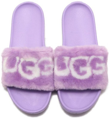 (W) UGG ロイヤル グラフィック もこもこスライド (パープル) 1101539-PZN Shop (W) UGG ロイヤル グラフィック もこもこスライド (パープル) 1101539-PZN