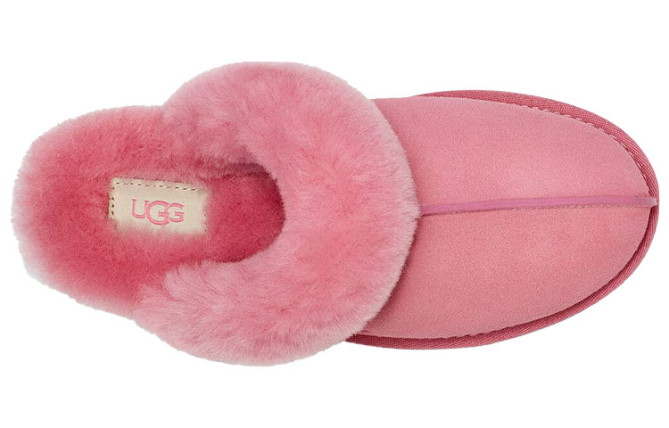 Purchase (W) 어그 스커페트 II '와일드 베리' (UGG Scuffette II '와일드 베리') 1106872-WBRR