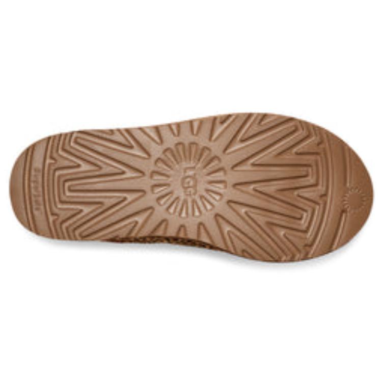 Shop (W) UGGタスマン スリッパ「レオパード」 1149230-CHE