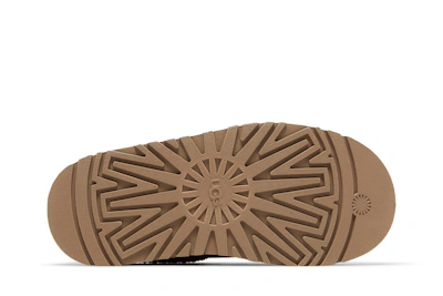 (Women) UGG Tazz Slipper Chestnut