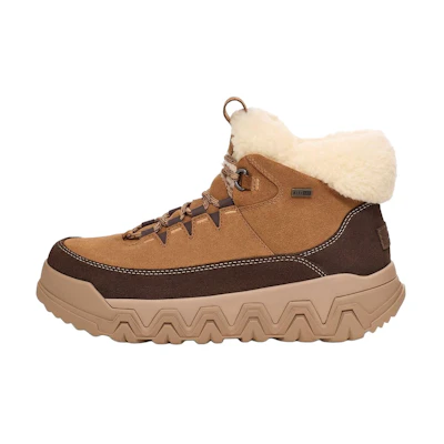 (W) UGG TerreTrail Cozy Lace Boot Chestnut