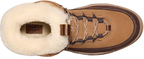 Purchase (W) UGG TerreTrail Cozy Lace Boot Kastanje 1158210-CHE