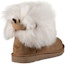 Shop (W) UGG Valentina 'Chestnut' Coklat Tan 1012388-CHE