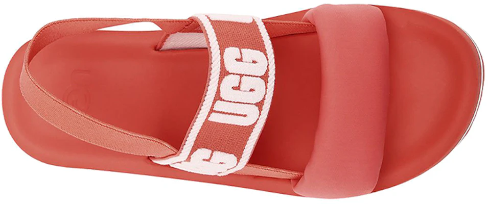 (W) UGG ズマ スリング ビーチサンダル (赤白) 1107893-PCRL Purchase (W) UGG ズマ スリング ビーチサンダル (赤白) 1107893-PCRL