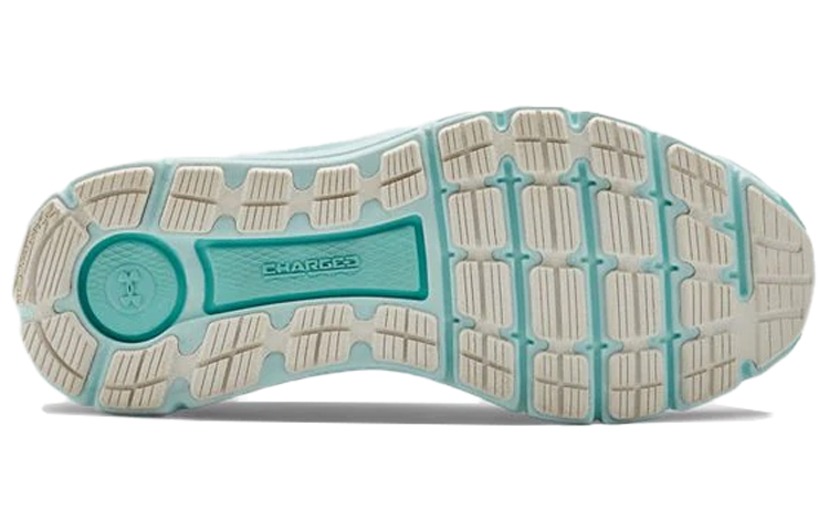 Purchase (W) Under Armour Charged Intake 4 ''Bleu'' 3022601-100
