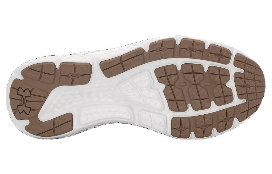 Purchase (W) Kasut Under Armour Charged Rogue SE 'Putih Perak' 3028448-300