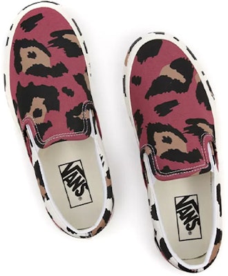 Vans pet sale