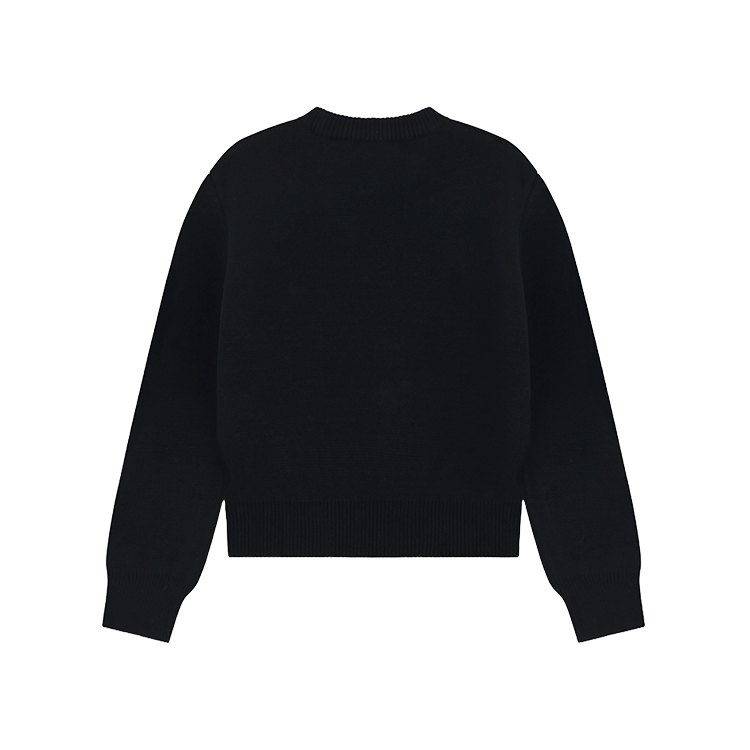 Lookbook (Women) WE11DONE Basic Letter Pullover Sweater  Black Long Sleeve WD-KT2-24-601-W-BK