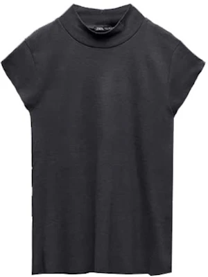 (W) ZARA 灰鉛色純色羅紋圓領短袖上衣 04174639818-33 Buy (W) ZARA 灰鉛色純色羅紋圓領短袖上衣 04174639818-33