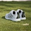 Details for (Youth) adidas Codechaos BOA 25 'Lucid Lemon' IG8770
