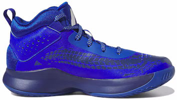 Order (PS) アディダス クロスエムアップ5 ワイドJ 青/銀 (Adidas Kurosuemu Appu 5 Waido J Ao/Gin) HQ8495