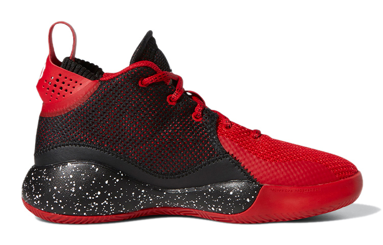 Order (PS) 阿迪达斯 D Rose 773 J 黑/红 FW8788