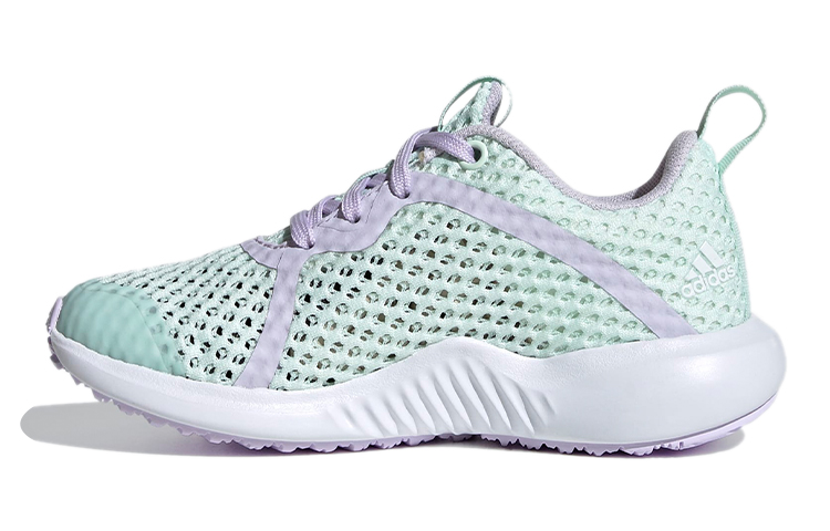 (Youth) adidas Summer.Rdy adidas Fortarun J 'Green Purple White'