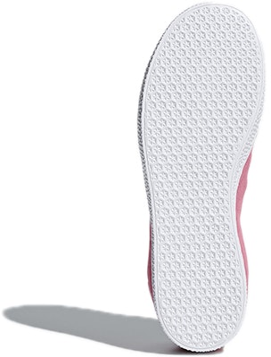 (Youth) adidas Gazelle J 'Chalk Pink' CQ2882 Details for (Youth) adidas Gazelle J 'Chalk Pink' CQ2882
