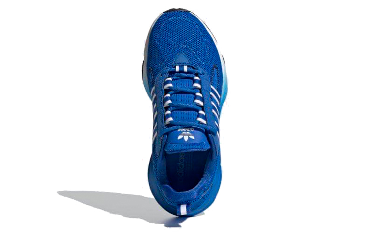Purchase (JR) adidas Haiwee Blauw Glorie EF5789