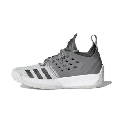 (Youth) adidas Harden Vol. 2 J 'Trace Grey Metallic'