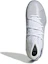 Purchase 大童 adidas Nemeziz 19.3 TF J 輕便舒適足球鞋 白藍