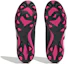 Details for (JR) adidas Predator Accuracy.1 AG ''Noir Rose'' HQ0952